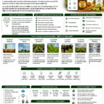 IoT in farming applications and benefits for farmers FPOs and agri businesses by Belha Mai FPO