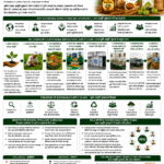 Sustainable supply chains in agriculture for farmers FPOs and agri businesses by Belha Mai FPO