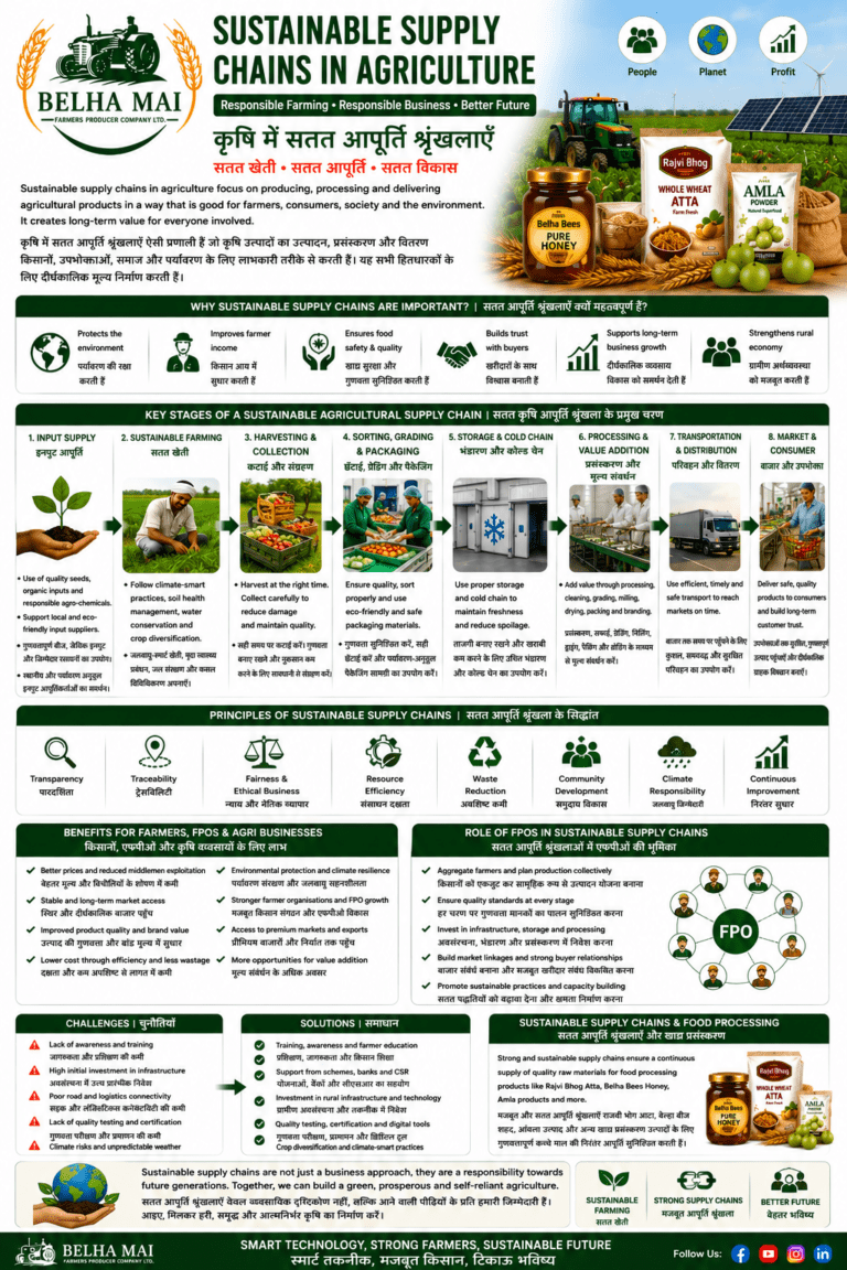Sustainable supply chains in agriculture for farmers FPOs and agri businesses by Belha Mai FPO