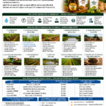 Water conservation techniques in farming for farmers FPOs and sustainable agriculture by Belha Mai FPO