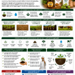 Regenerative agriculture in India for soil health water conservation and farmer income by Belha Mai FPO