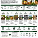 Traceability in agriculture from farm to fork for farmers FPOs and food businesses by Belha Mai FPO