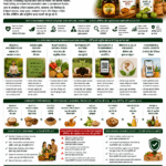 Consumer trends in organic and natural foods for farmer-led brands and FPO food business by Belha Mai FPO