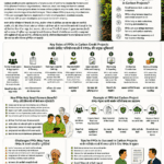 Role of FPOs in carbon credit projects explaining farmer aggregation, data collection, sustainable farming, verification, revenue sharing and climate finance
