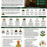 Soil carbon and sustainable farming explained for farmers and FPOs with soil health, organic matter, composting, residue management, agroforestry and carbon credit opportunities