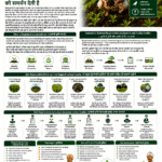 How regenerative agriculture supports carbon credits explained for farmers and FPOs with soil carbon, reduced tillage, cover crops, agroforestry, MRV and climate finance