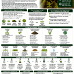 Bio-inputs and low-carbon farming systems explained for farmers and FPOs with biofertilizers, biopesticides, compost, soil carbon, reduced emissions and carbon credit opportunities
