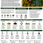 Natural farming and climate benefits explained for farmers and FPOs with soil carbon, water conservation, biodiversity, reduced emissions and carbon credit opportunities