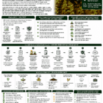 MRV in carbon credit projects what farmers should know explained with measurement, reporting, verification, farm data, soil testing, FPO role and carbon credit issuance
