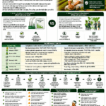 Compliance carbon market vs voluntary carbon market explained for farmers and FPOs with rules, buyers, prices, MRV, verification and carbon credit opportunities