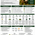 Carbon credit certification process in agriculture explained for farmers and FPOs with project design, baseline, MRV, validation, verification, credit issuance and revenue sharing