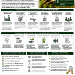 Who buys agricultural carbon credits explained for farmers and FPOs with companies, ESG investors, brands, development agencies, carbon buyers, certification and revenue sharing