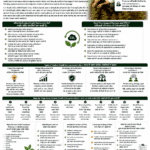 Carbon credit companies in India and how they work explained for farmers and FPOs with project developers, MRV, verification, certification, buyers and revenue sharing