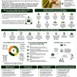 Carbon credit business model for Farmer Producer Organizations explained with farmer aggregation, climate-smart farming, MRV, verification, buyer linkage, revenue sharing and FPO income model