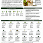 Is carbon credit income real for Indian farmers explained with carbon farming, MRV, verification, certification, buyer demand, revenue sharing, risks and FPO role
