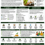 Sustainable agriculture and climate finance explained for farmers and FPOs with climate-smart farming, carbon credits, grants, loans, soil health, water conservation and FPO role