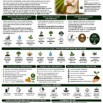 Climate-smart agriculture and carbon farming explained for farmers and FPOs with soil carbon, agroforestry, residue management, DSR, water-saving farming, carbon credits and FPO role