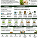 Water-saving farming and carbon reduction explained for farmers and FPOs with DSR, drip irrigation, paddy water management, soil moisture, methane reduction and climate finance