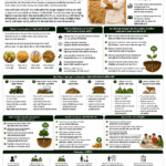 Crop residue management and carbon benefits explained for farmers and FPOs with stubble burning alternatives, Super Seeder, mulching, composting, soil carbon, emission reduction and carbon credit opportunities