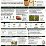 Super Seeder, DSR, and low-emission agriculture explained for farmers and FPOs with crop residue management, Direct Seeded Rice, water saving, methane reduction, carbon credits and climate finance
