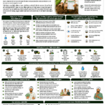 Role of soil testing in carbon farming explained for farmers and FPOs with soil organic carbon, baseline data, soil health, MRV, nutrient management and carbon credit opportunities
