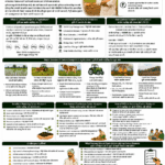 Carbon footprint of agriculture explained for farmers and FPOs with sources of emissions, rice methane, fertilizer use, livestock, residue burning, soil carbon, carbon credits and climate finance
