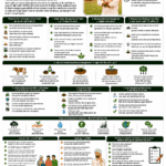 How to reduce farm emissions in India explained for farmers and FPOs with DSR, Super Seeder, soil testing, crop residue management, balanced nutrients, water saving, carbon credits and climate finance