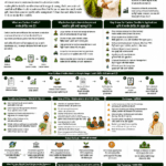 Future of carbon credits in Indian agriculture explained for farmers and FPOs with soil carbon, crop residue management, DSR, agroforestry, MRV, climate finance and carbon market opportunities