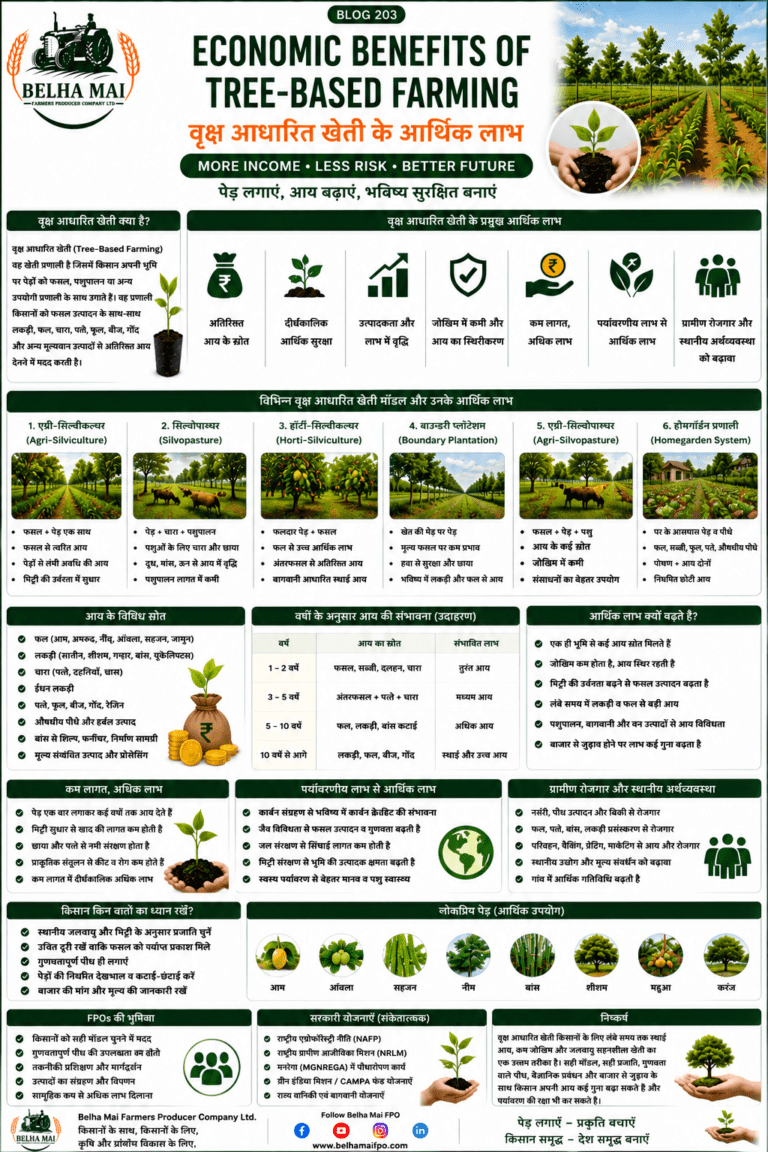 Economic benefits of tree-based farming with trees, crops, farmer income, agroforestry and Belha Mai FPO logo